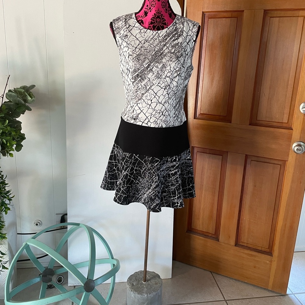 BCBGMaxAzria Black and White Mini Dress